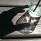 Illustration for article titled Shooting Challenge: Shadows (Part 2)